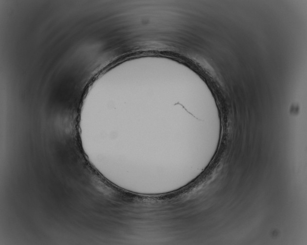 X0000101190873200807181509