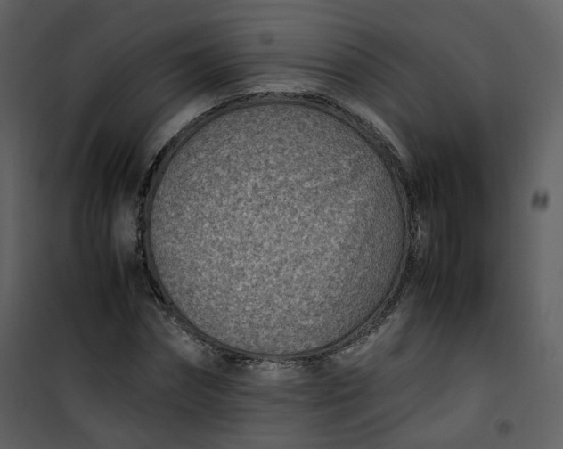 X0000101190874200807181509