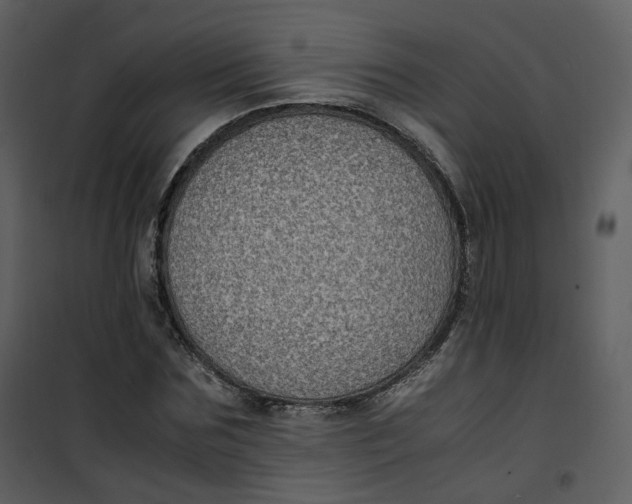 X0000101190875200807181509