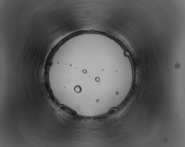 X0000101190876200807181509