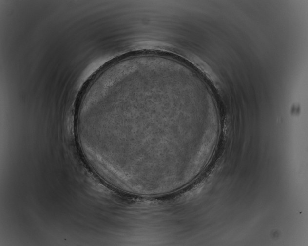 X0000101190877200807181509