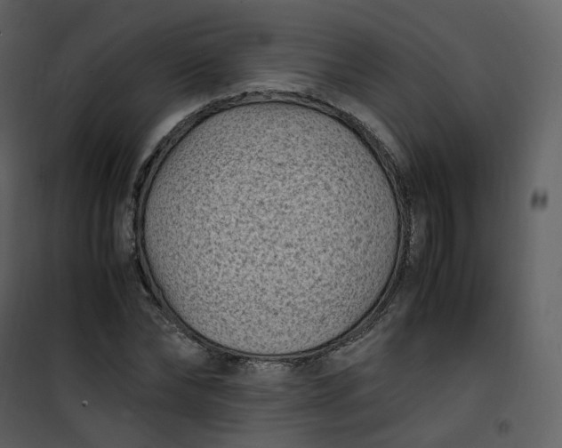 X0000101190878200807181509