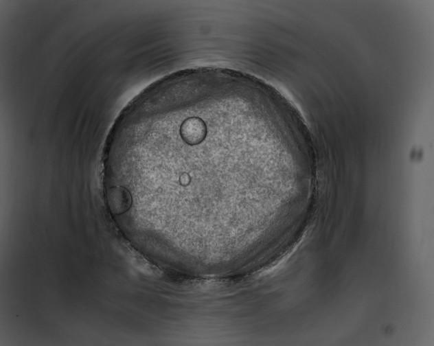 X0000101190879200807181509