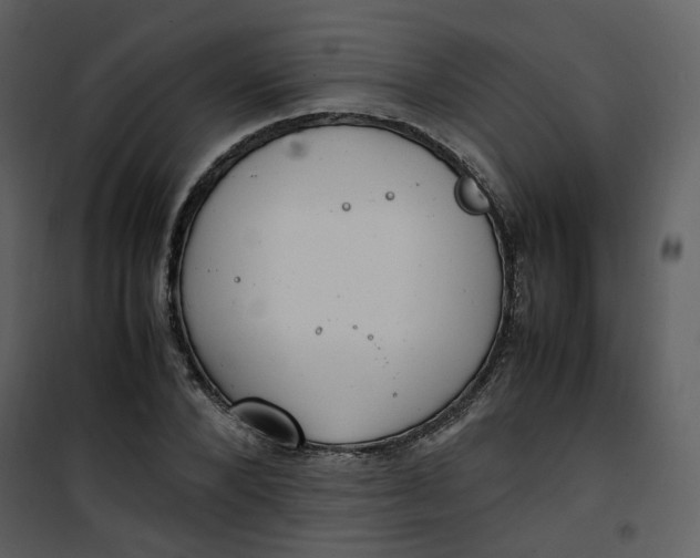 X0000101190880200807181509
