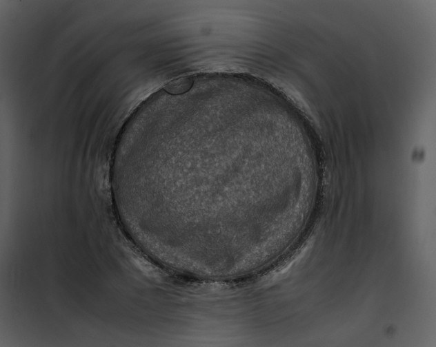 X0000101190881200807181508