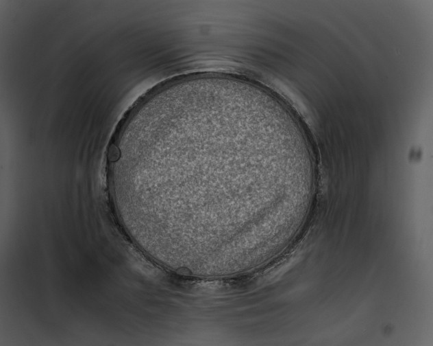 X0000101190883200807181508