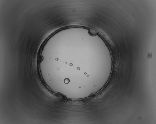 X0000101190884200807181508