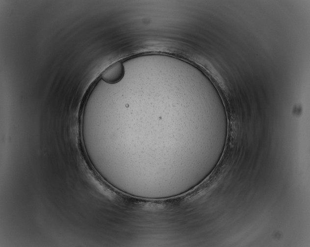 X0000101190890200807181508