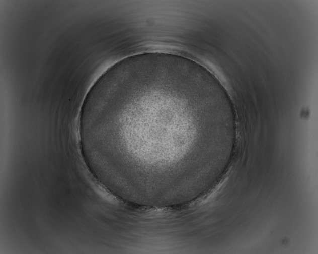 X0000101190891200807181508