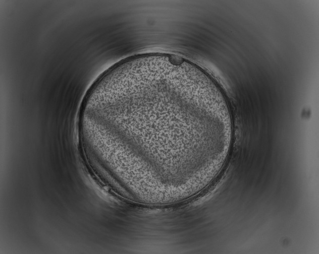 X0000101190892200807181508