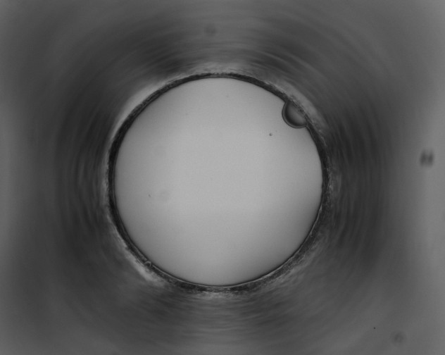 X0000101190894200807181508