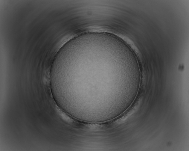 X0000101190897200807181508
