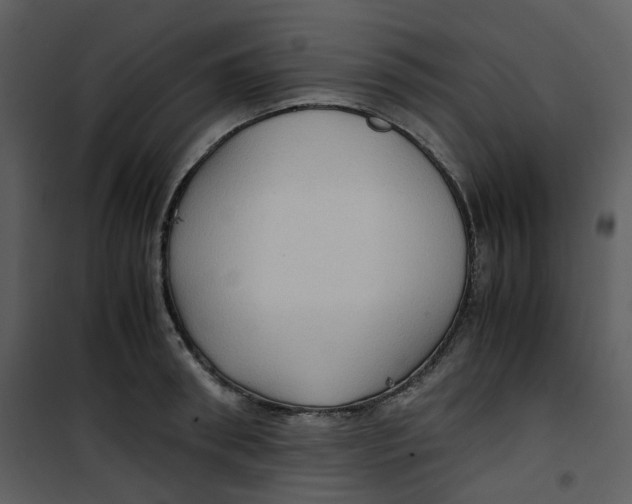X0000101190898200807181508