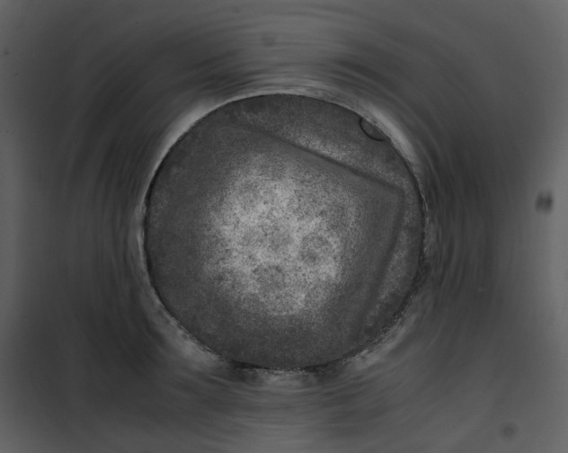 X0000101190899200807181508