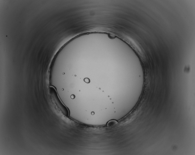 X0000101190900200807181508