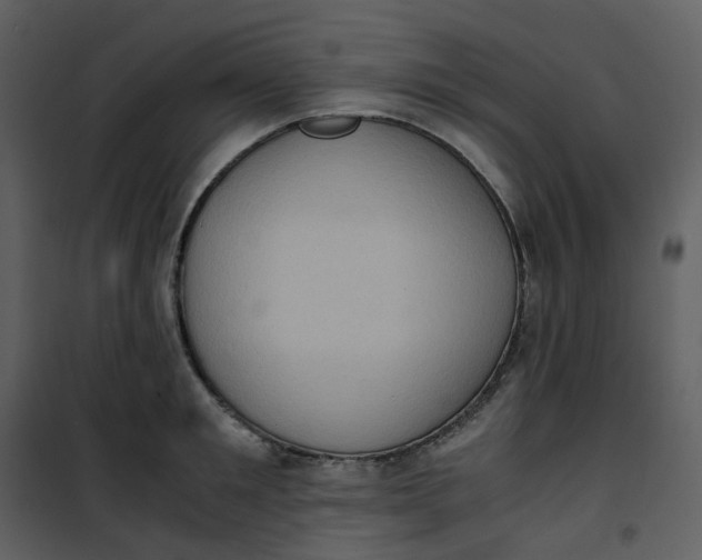 X0000101190901200807181508