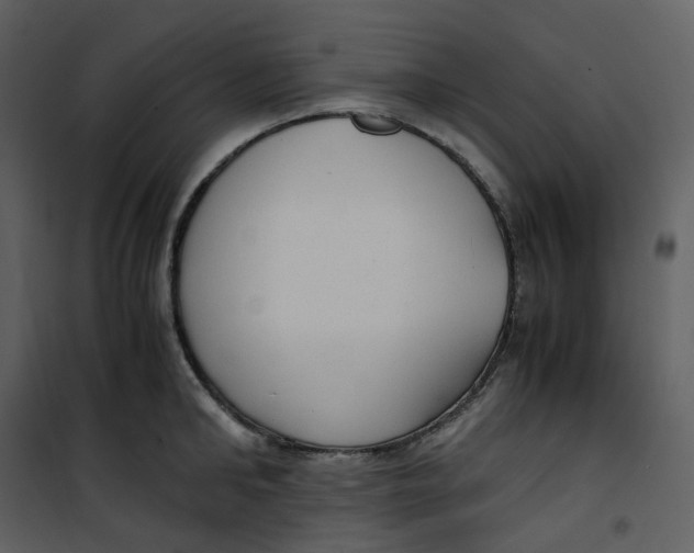 X0000101190902200807181508