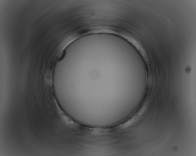 X0000101190905200807181508
