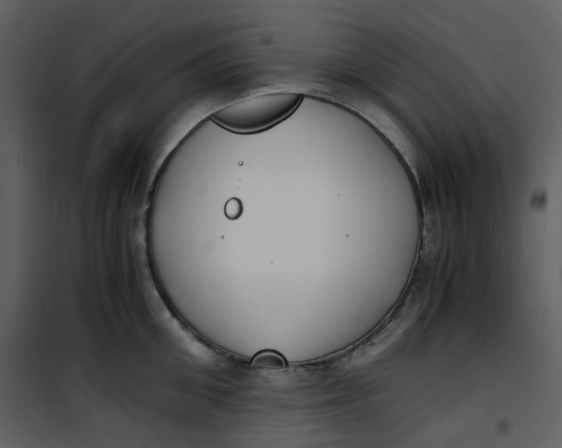 X0000101190906200807181508