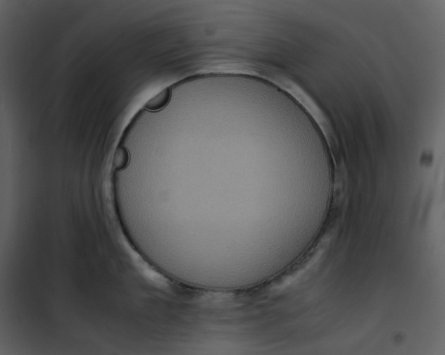 X0000101190909200807181508