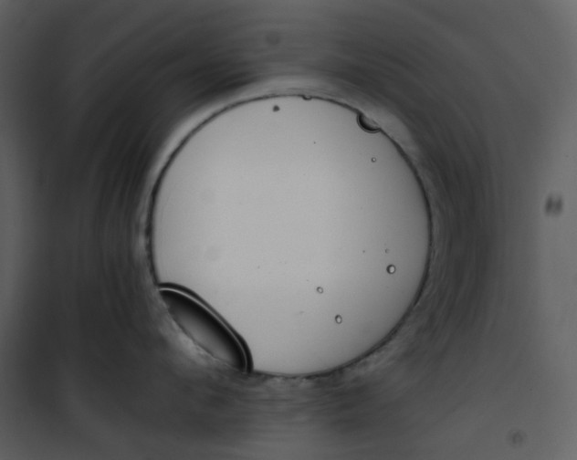 X0000101190912200807181508