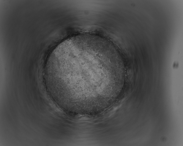 X0000101190913200807181507