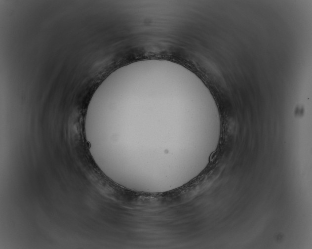X0000101190914200807181507
