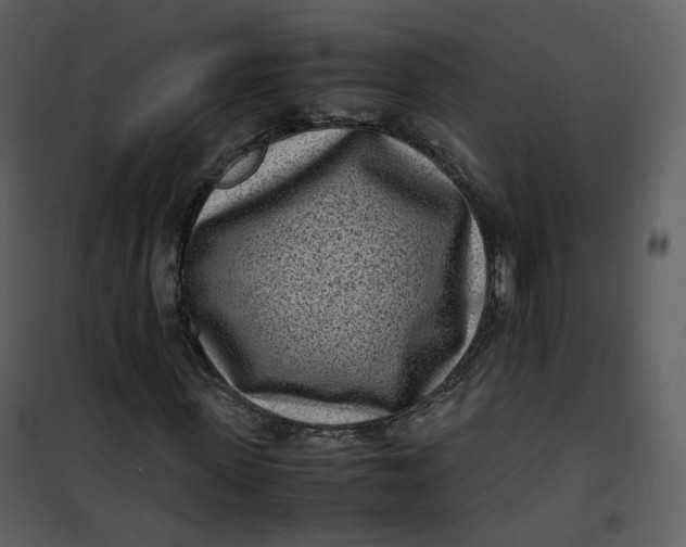 X0000101190915200807181507