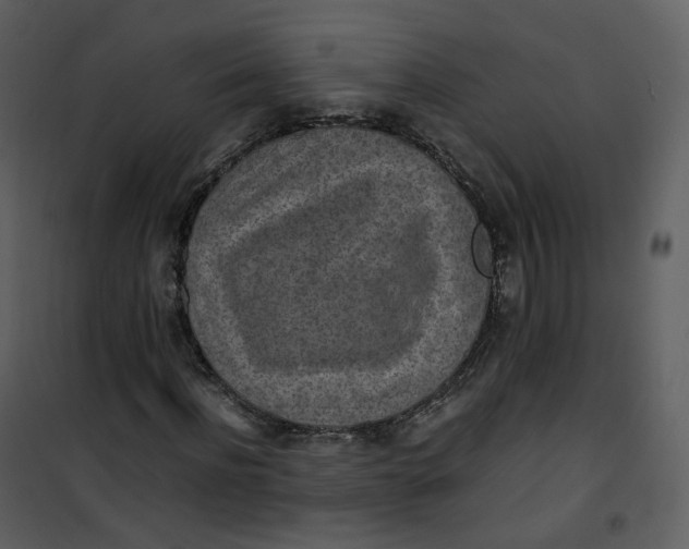 X0000101190916200807181507