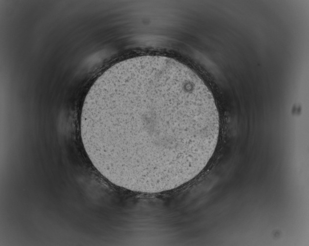 X0000101190918200807181507