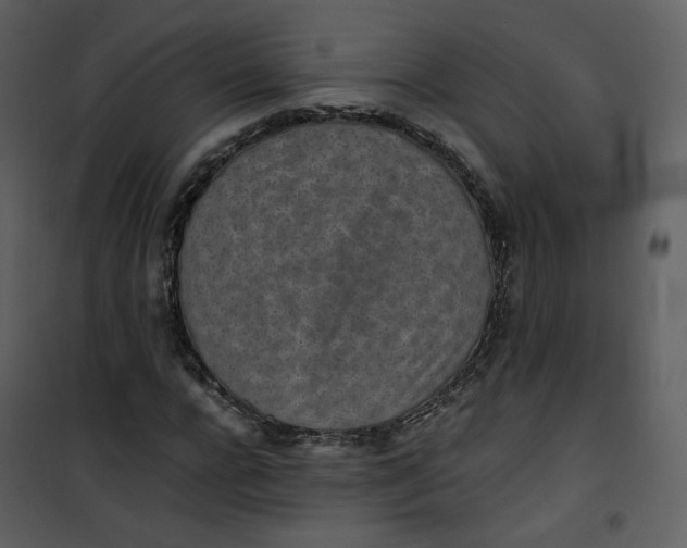 X0000101190920200807181507