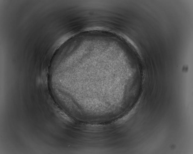 X0000101190921200807181507