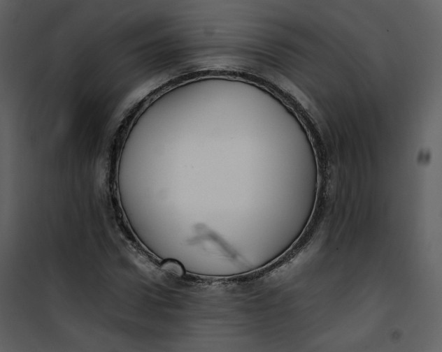 X0000101190922200807181507