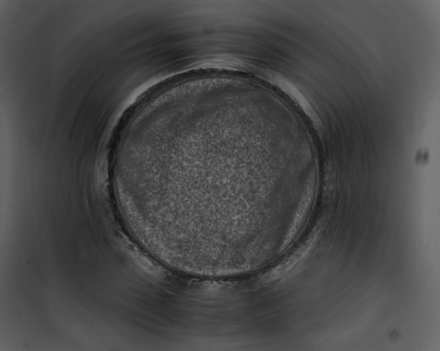 X0000101190923200807181507