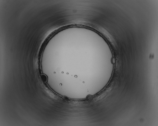 X0000101190924200807181507
