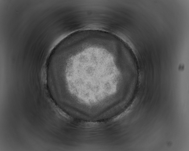 X0000101190925200807181507