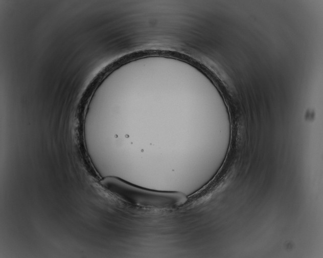 X0000101190926200807181507
