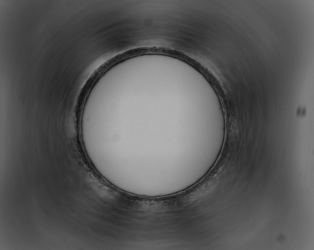 X0000101190927200807181507