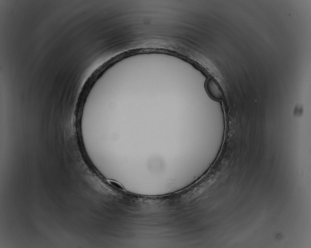 X0000101190928200807181507