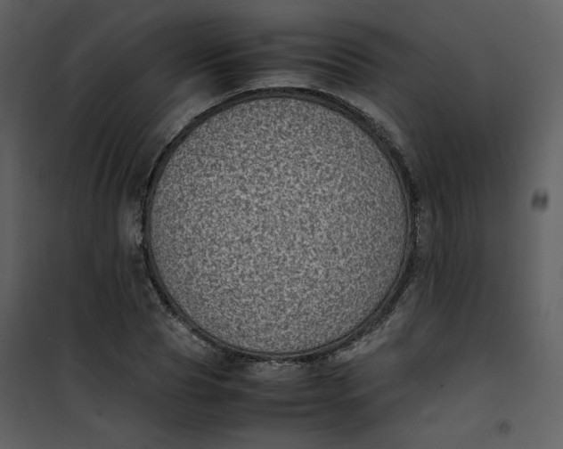 X0000101190929200807181508