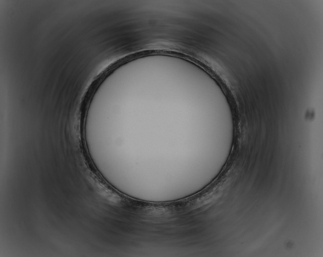 X0000101190931200807181508