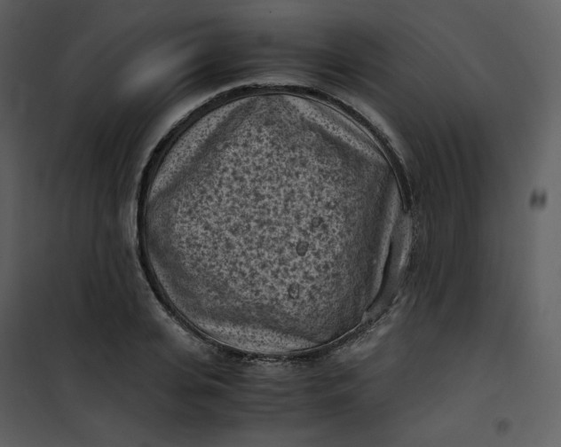 X0000101190935200807181508