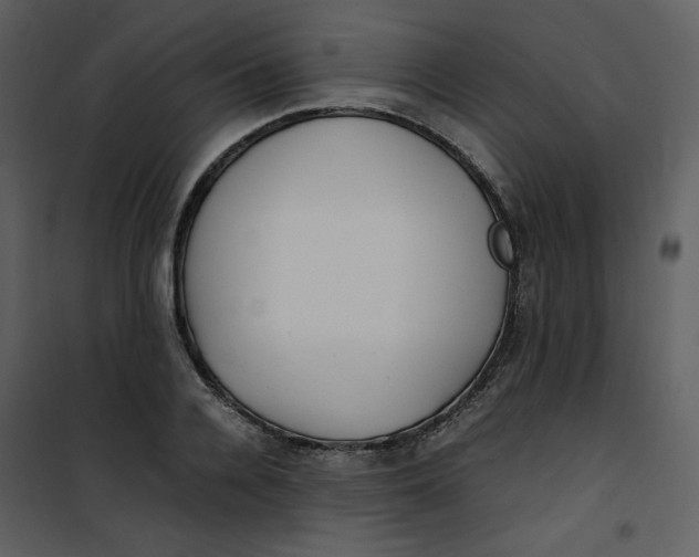 X0000101190936200807181508