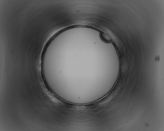 X0000101190940200807181508