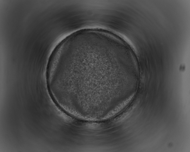 X0000101190943200807181508