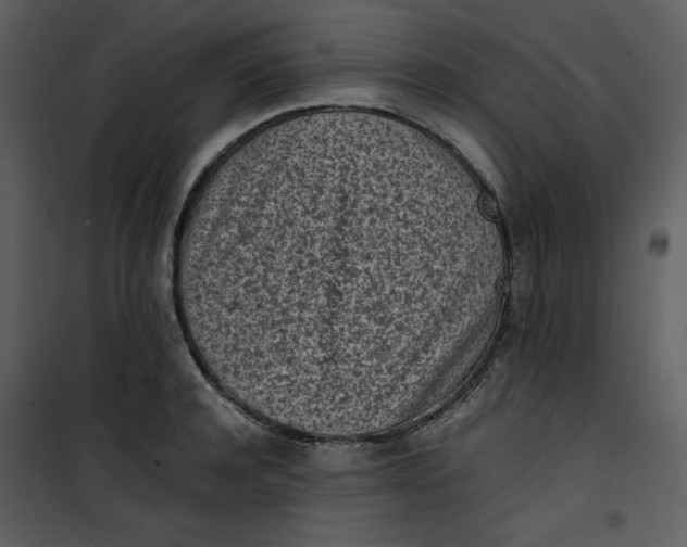 X0000101190944200807181508