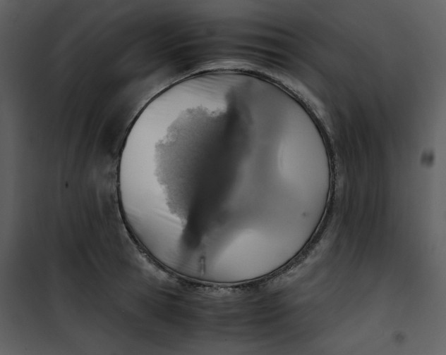 X0000101190945200807181508