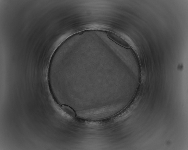 X0000101190946200807181508