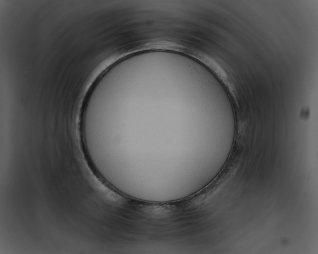X0000101190947200807181508