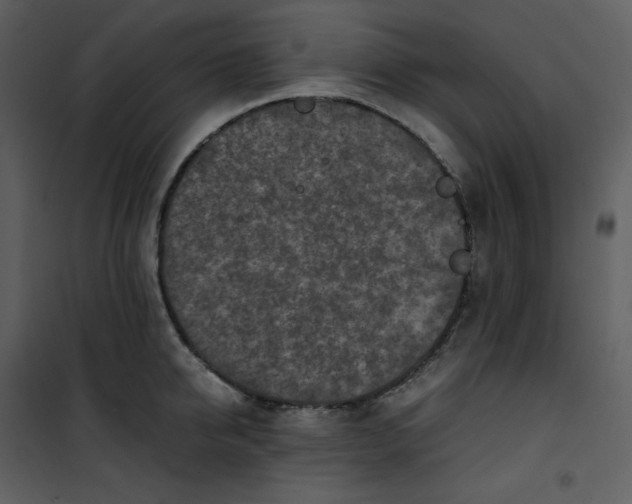 X0000101190950200807181508